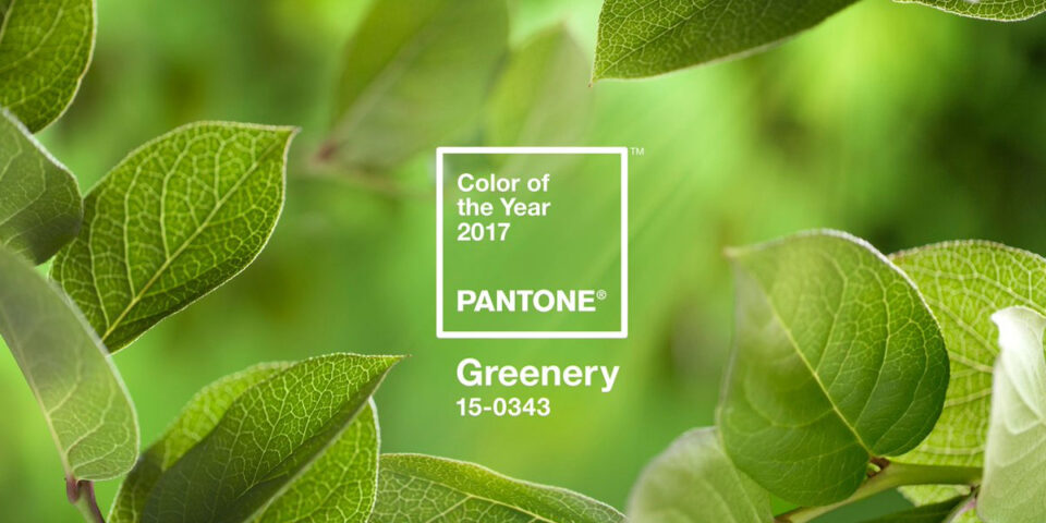 Pantone Colour of the Year 2017 Greenery